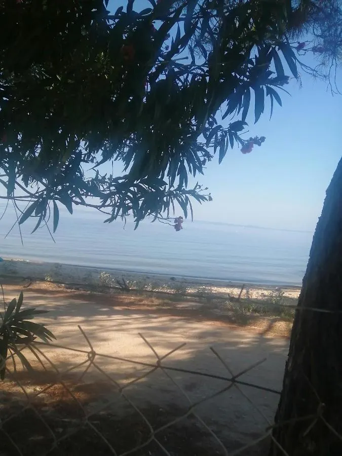 Holiday home Family House By The Sea Villa Nikiti