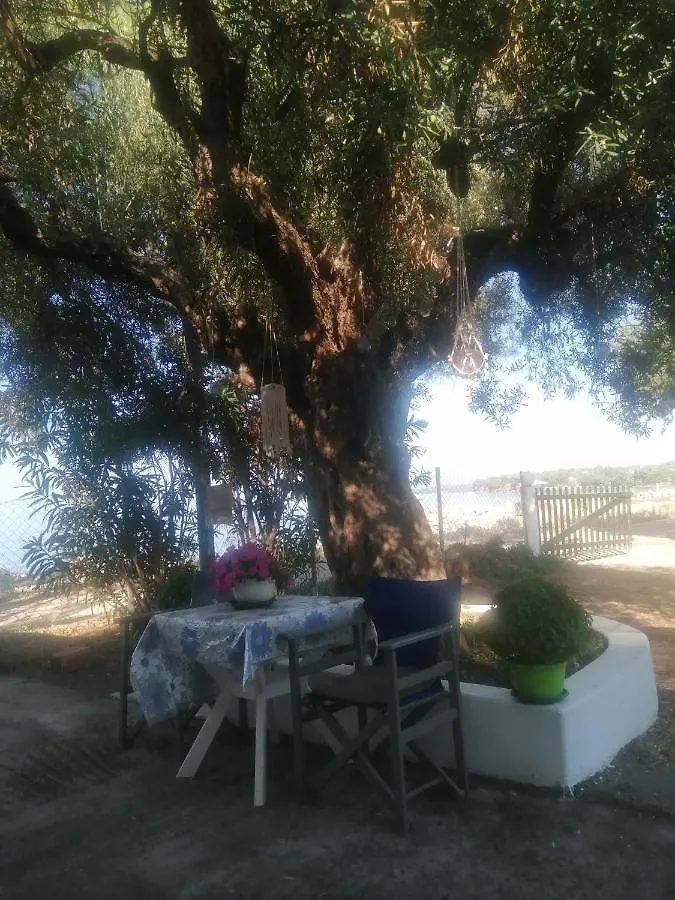Family House By The Sea Villa Nikiti  0*, Nikiti (Sithonia)