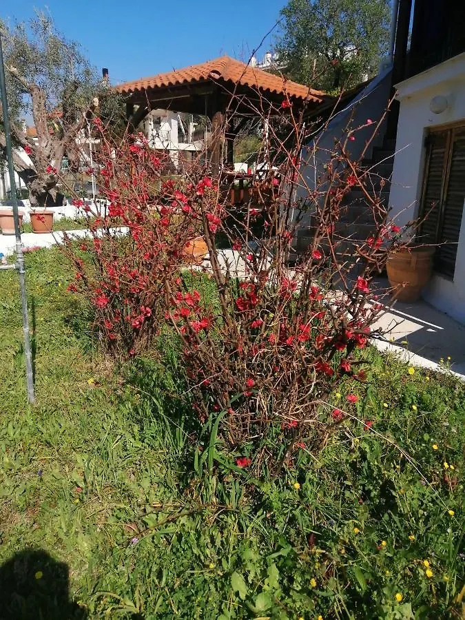 Family House By The Sea Villa Nikiti  Holiday home Nikiti (Sithonia)