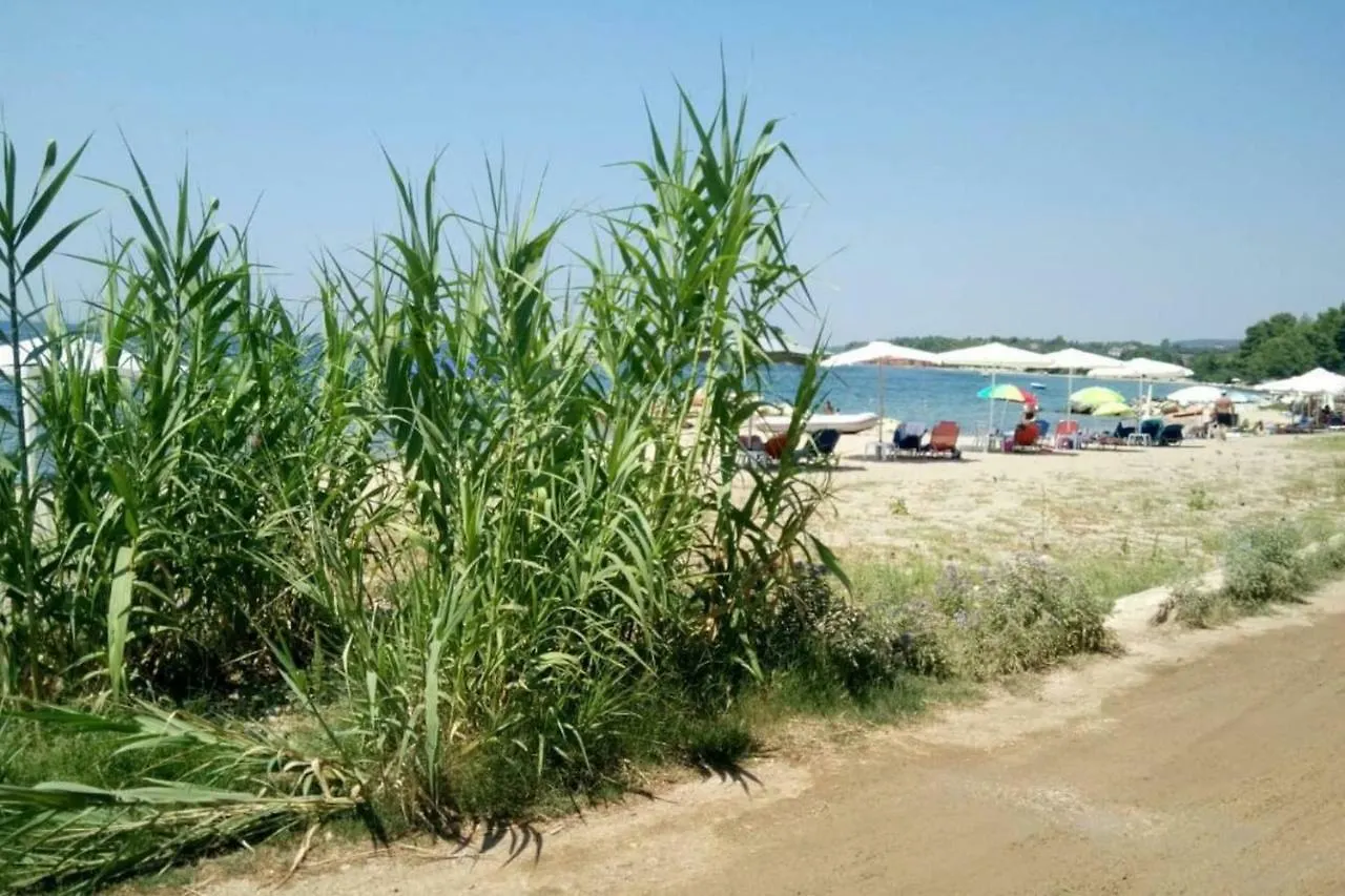 Family House By The Sea Villa Nikiti  0*, Nikiti (Sithonia)