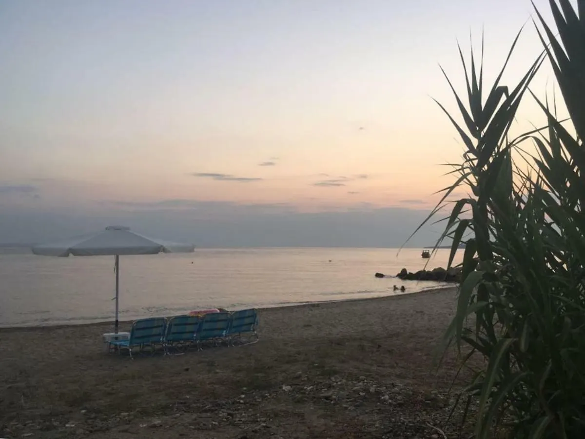 Family House By The Sea Villa Nikiti  Greece